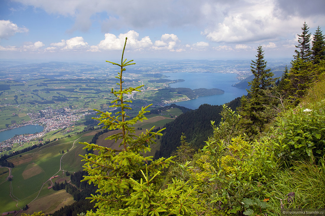 Rigi